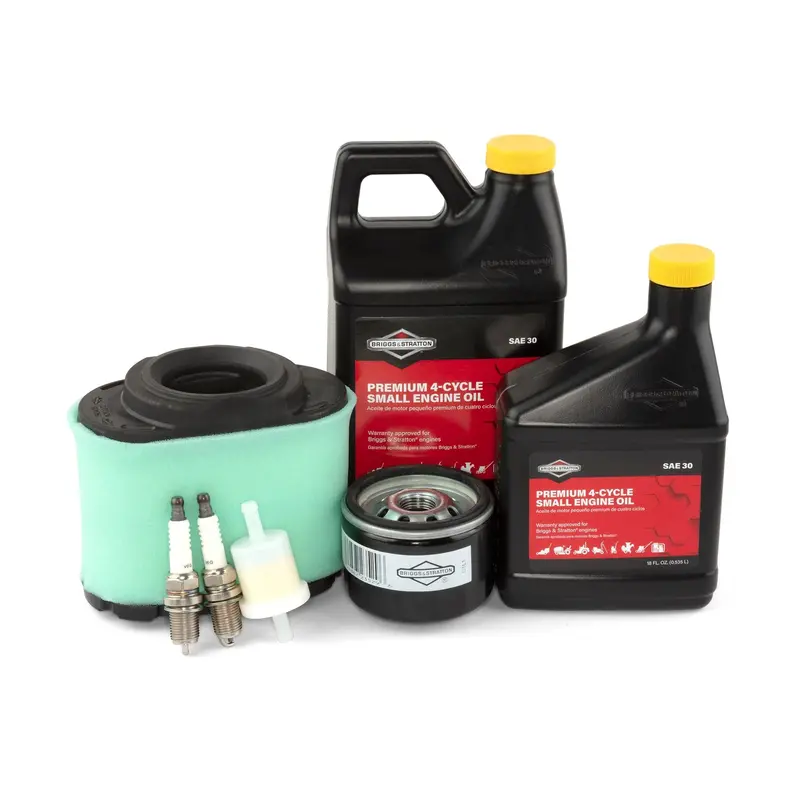 Briggs & Stratton Intake Maintenance Kit – Part No. 84002317 1