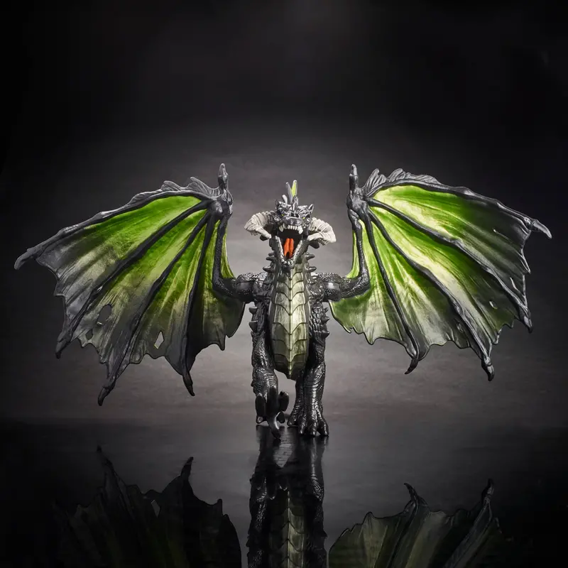 Dungeons & Dragons Miniature: Rakor Figure 1