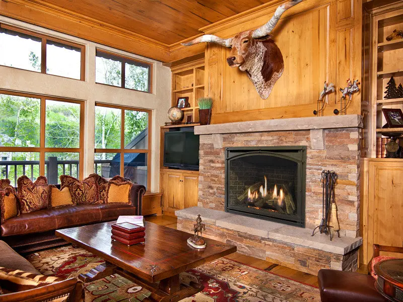 Kozy Heat Carlton 46 Fireplace 1