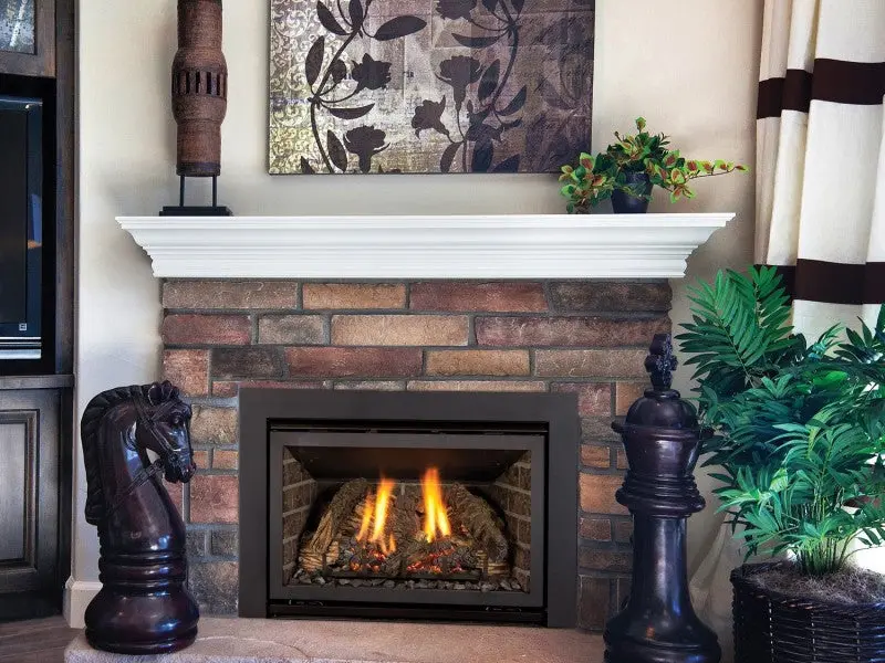 Kozy Heat Chaska 25 Fireplace Insert 1