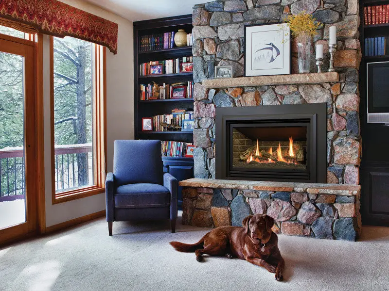 Kozy Heat Chaska 335S Fireplace Insert 1