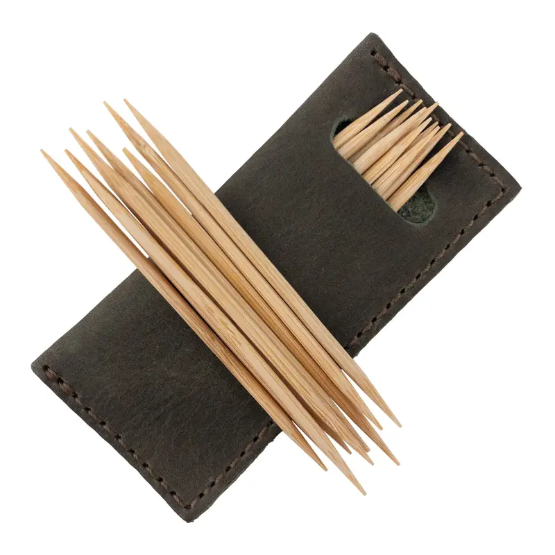 Stainless Steel Toothpick Holder Pack – 4 Individual Sleek Cases 1