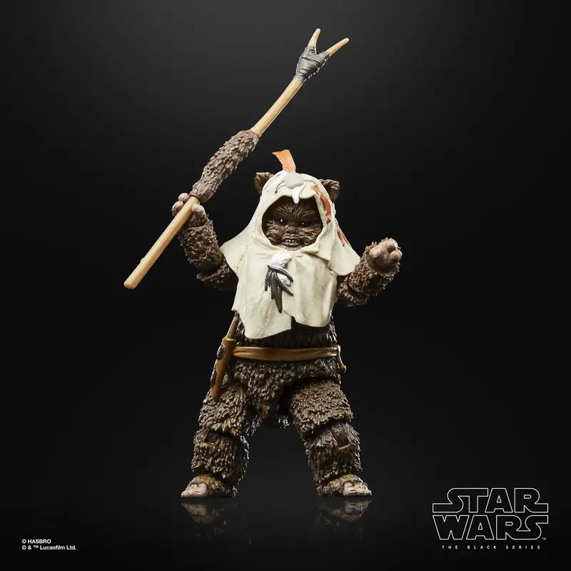 Star Wars Black Series Paploo Collectible Figure 1
