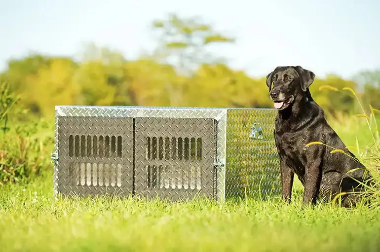 Dee Zee Dz91781 Aluminum Specialty Dog Box – Low-Profile Tool Storage For Trucks And Suvs 1